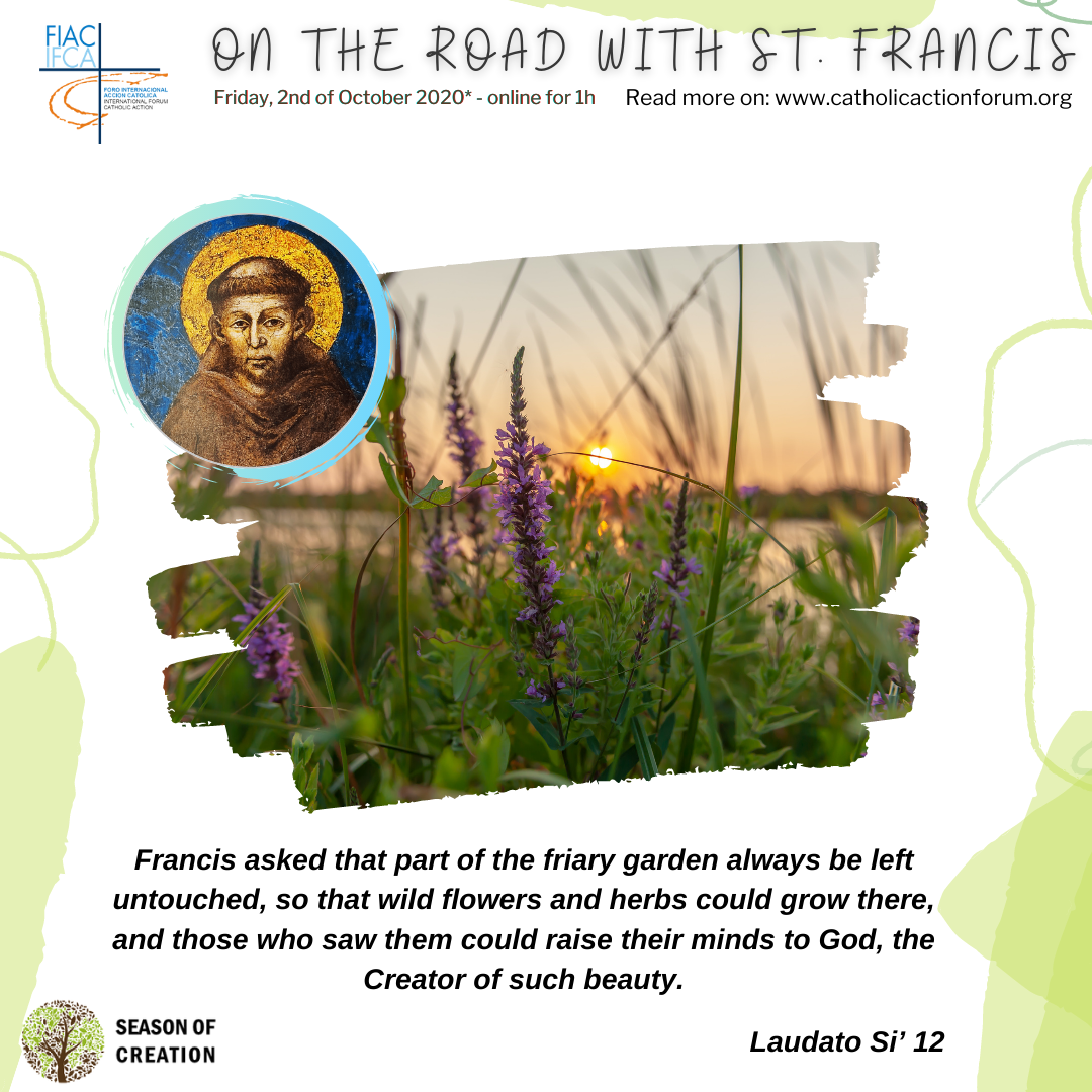 IFCA Webinar2October2020 StFrancis Laudatosi 13