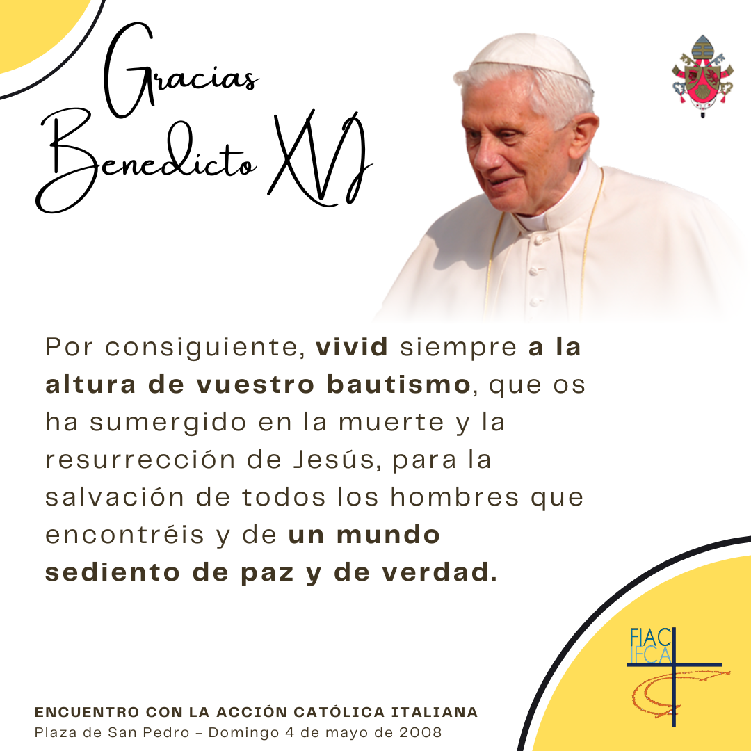 ES BXVI 14